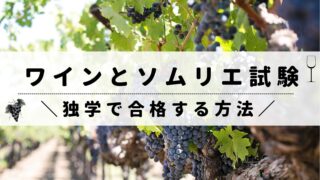 ワイン/ソムリエ試験