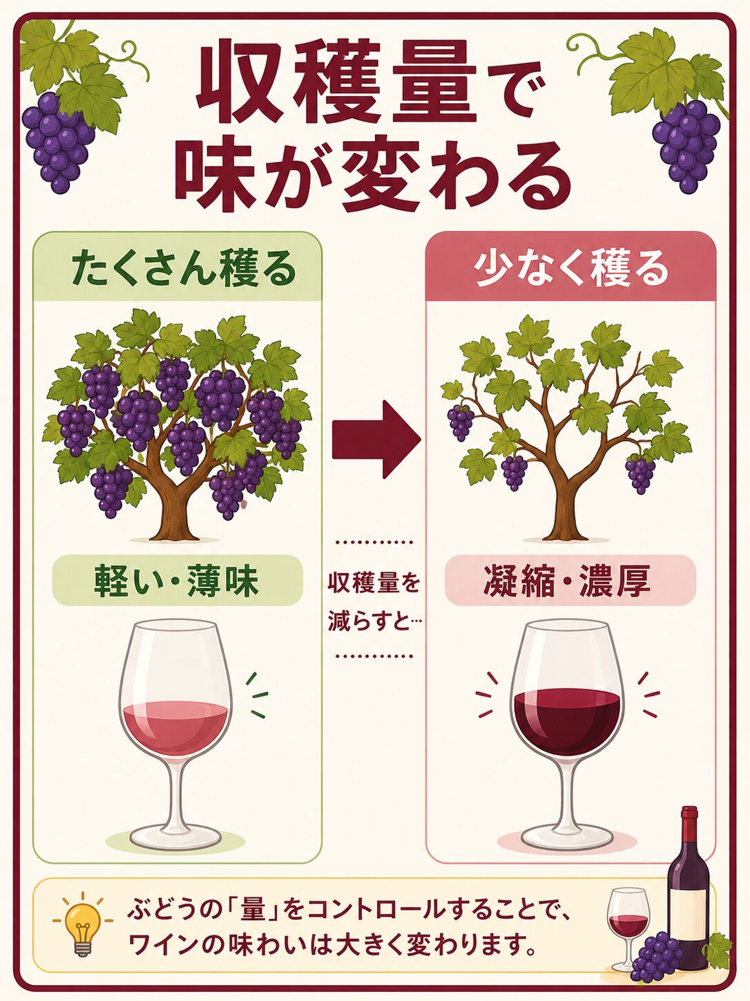 収穫量とワインの味わいの関係